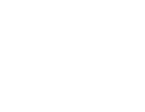 Vize 0